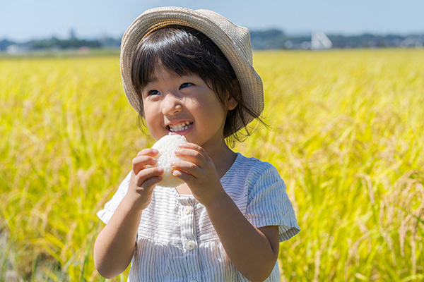 お米の豆知識